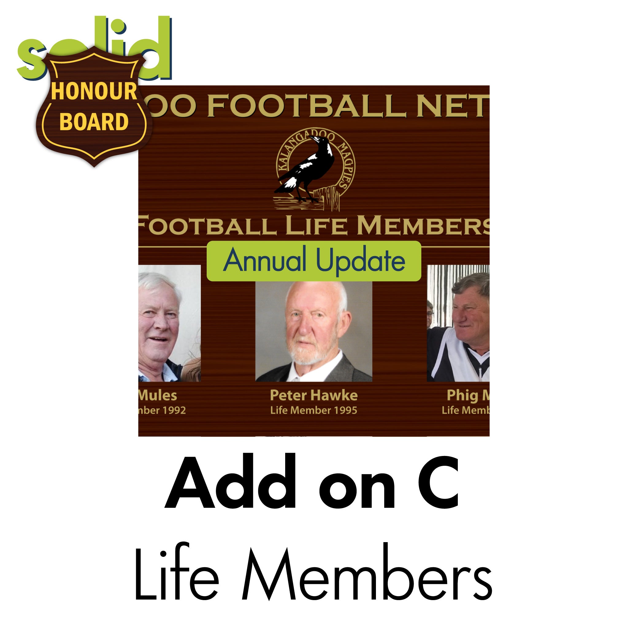 HB Add on C: Annual Update of Honour Board Life Member Board