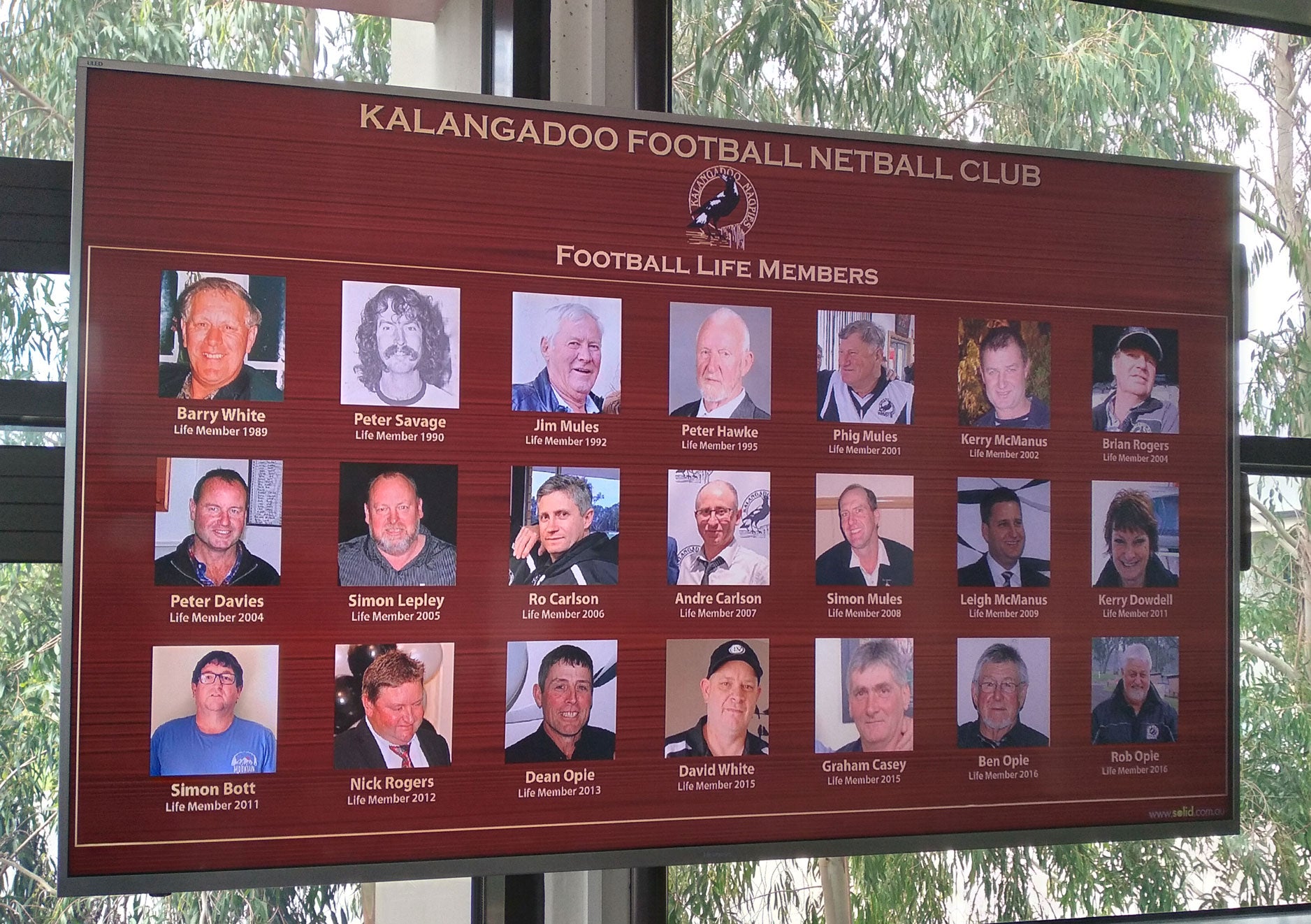 HB Add on C: Annual Update of Honour Board Life Member Board