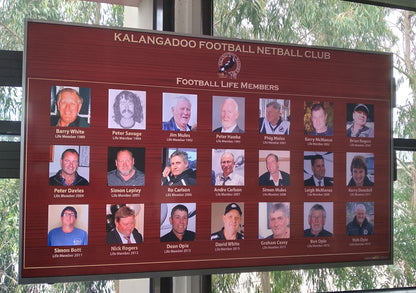 HB Add on C: Annual Update of Honour Board Life Member Board