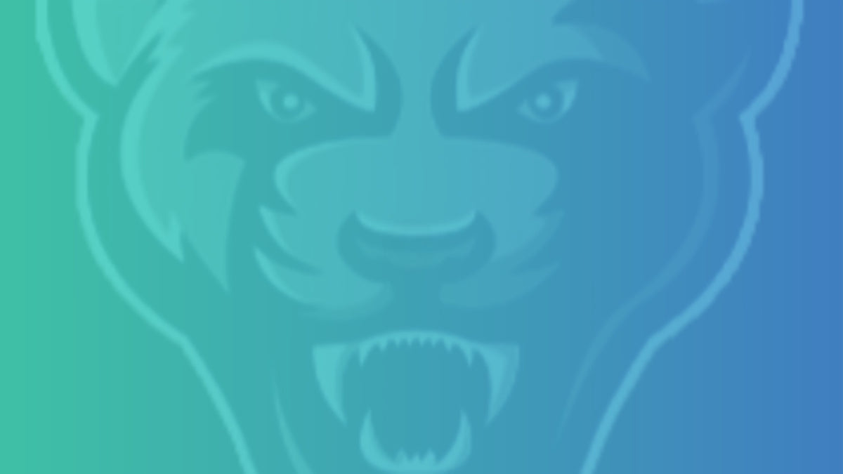 Scoreboard Systems and Digital Honour Boards – Solid Display Systems